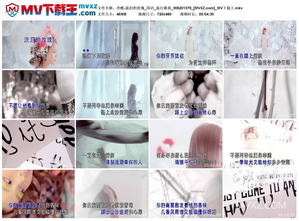 冷酷-流泪的玫瑰_国语_流行歌曲_MB201379